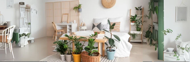 decorar dormitorio con plantas